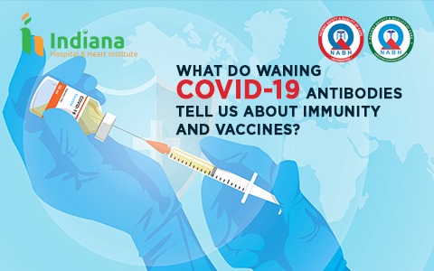 What do waning COVID-19 antibodies tell us about immunity and vaccines?