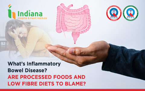 What’s Inflammatory Bowel Disease? Are processed foods and low fibre diets to blame?